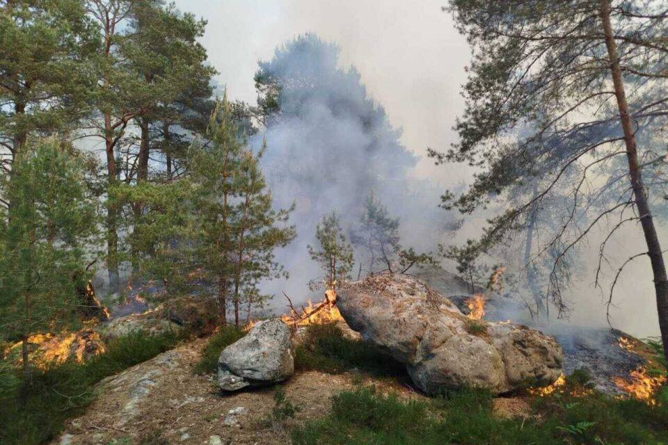 Incendie à Rocher de Milly